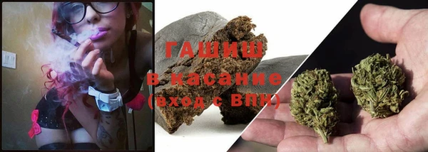 стаф Алзамай