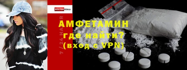 стаф Алзамай