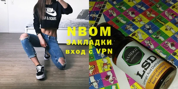 стаф Алзамай