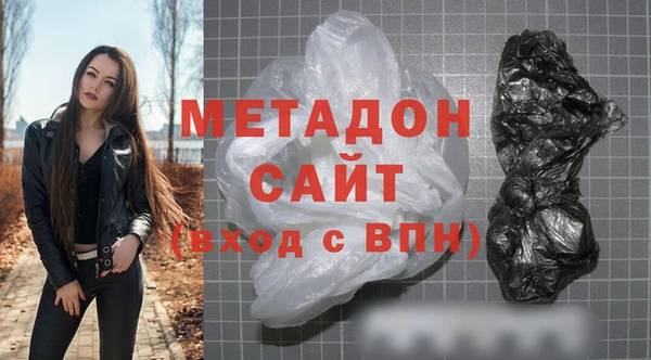 стаф Алзамай