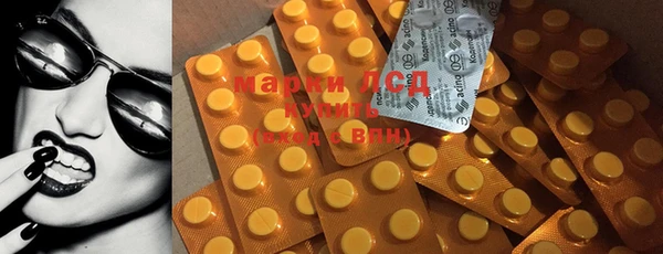 спайс Новодвинск
