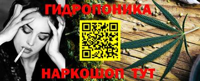 прущие грибы Партизанск
