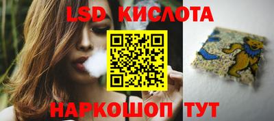 прущие грибы Партизанск