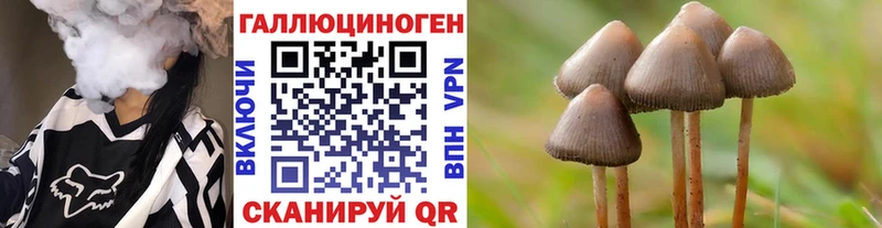 купить   Южно-Сахалинск  kraken как войти  Галлюциногенные грибы прущие грибы 