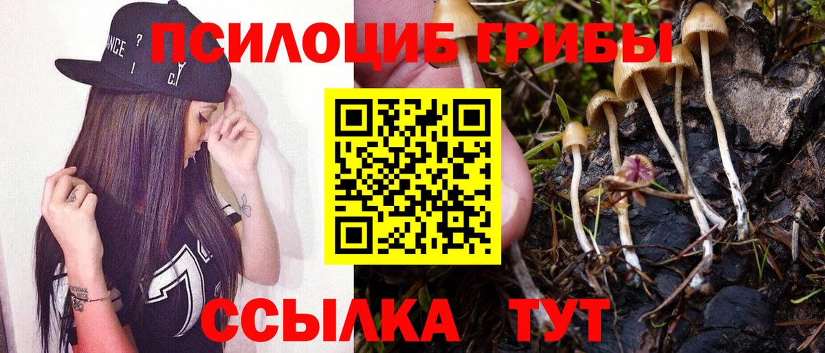 Галлюциногенные грибы мухоморы Южно-Сахалинск