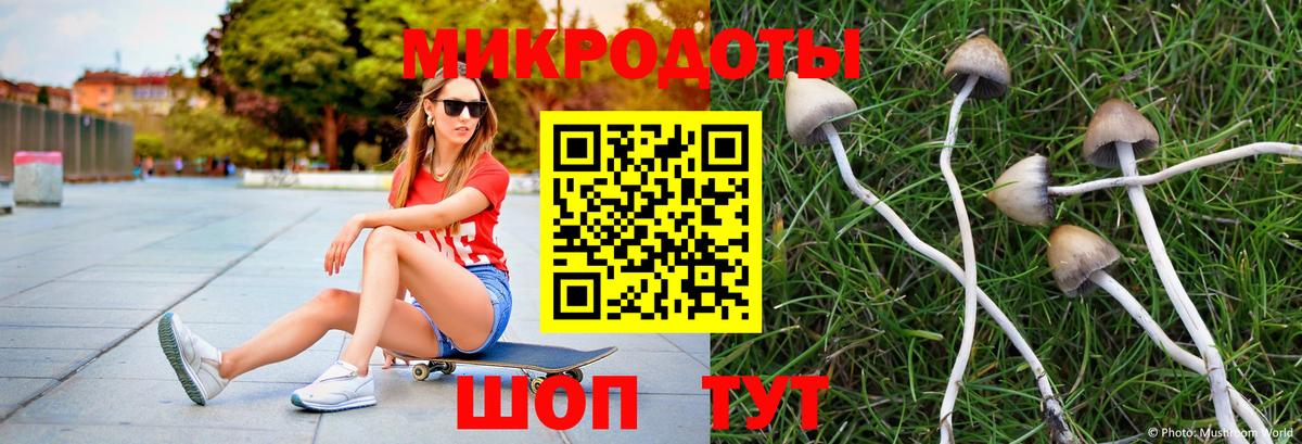 Псилоцибиновые грибы мицелий  Вход с VPN  Южно-Сахалинск  Псилоцибиновые грибы Cubensis 
